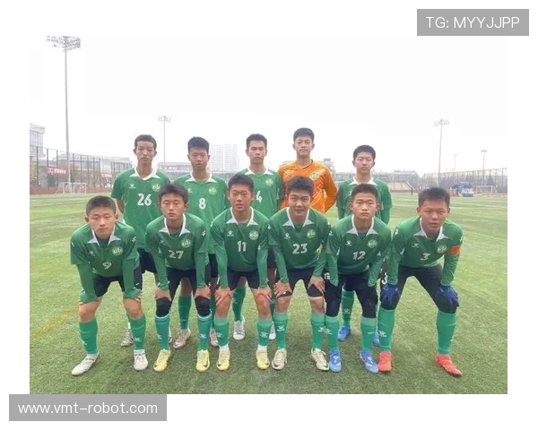 西安飞盘队的成功运营模式与发展策略深度解析